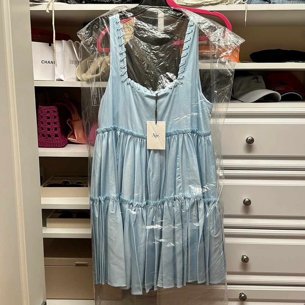 NWT Aje Hushed Mini Dress